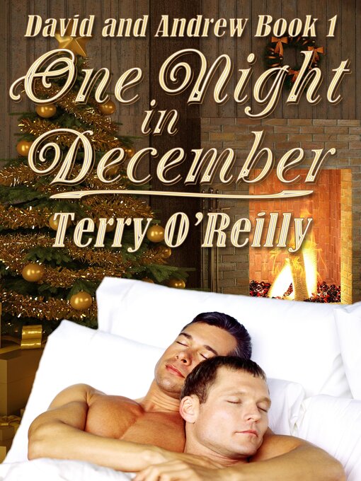 Title details for One Night in December by Terry O'Reilly - Available